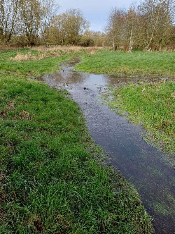 The River Bourne, 10th March
